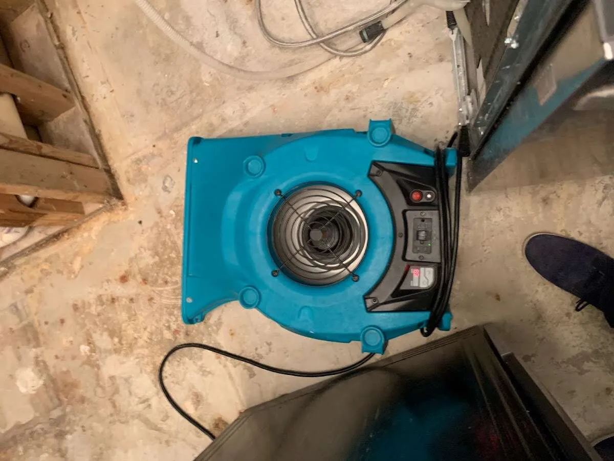 Air mover drying equipment for Mold Remediation & Removal in London Grove